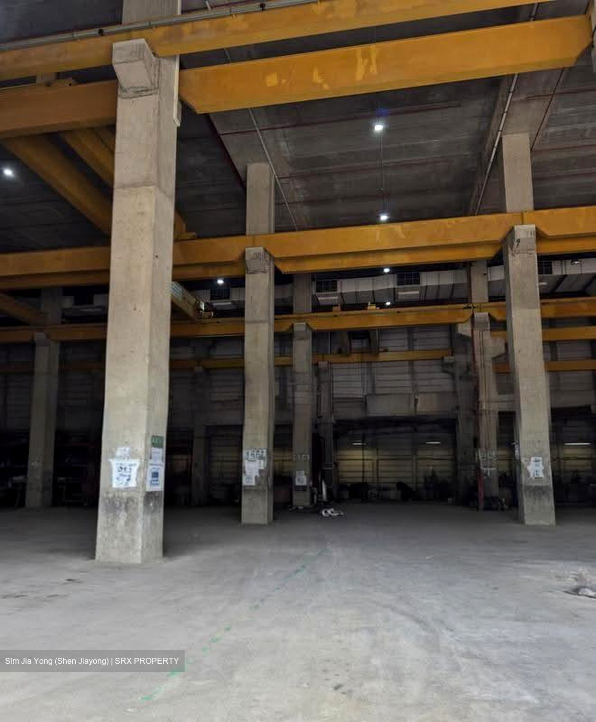 Tuas Avenue 12 (D22), Factory #622677901